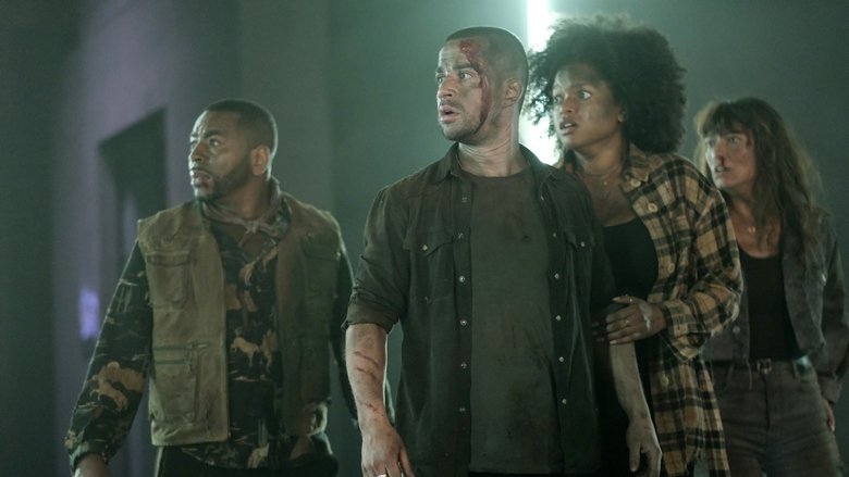 кадр из фильма Lumina