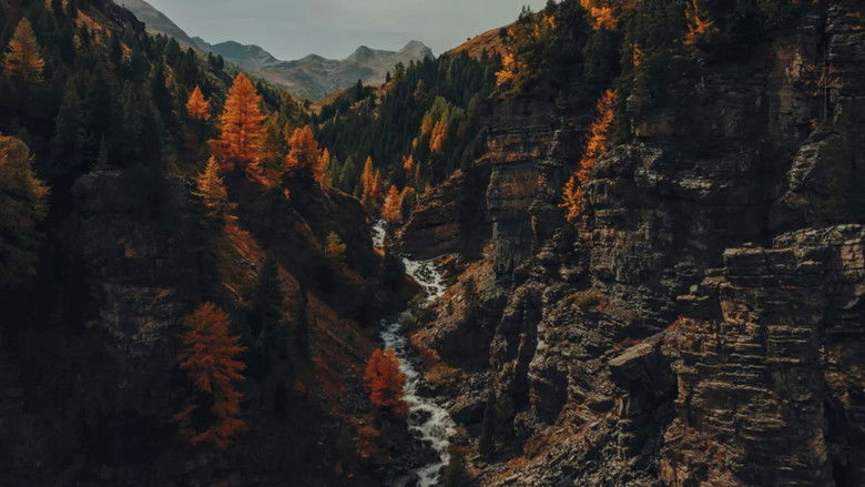 кадр из фильма Voir l'automne, une saison en France