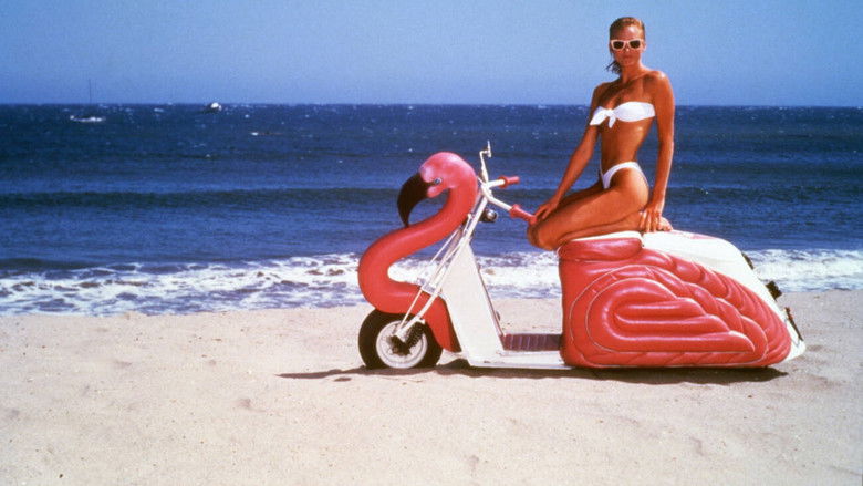 кадр из фильма The Flamingo Kid