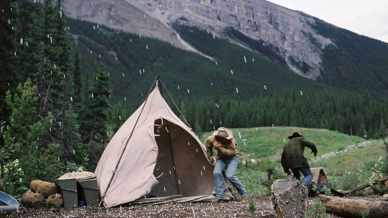 кадр из фильма Горбатая гора