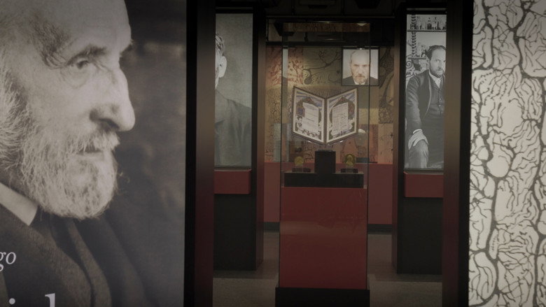 кадр из фильма Ramón y Cajal: dibujos en la retina