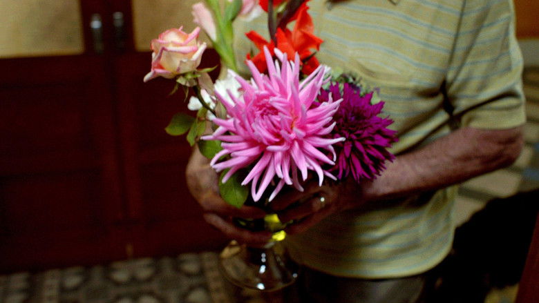 кадр из фильма Petit Matin