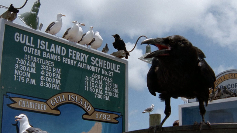 кадр из фильма Птицы 2: На краю земли