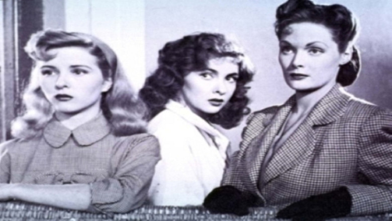 кадр из фильма Собачья жизнь