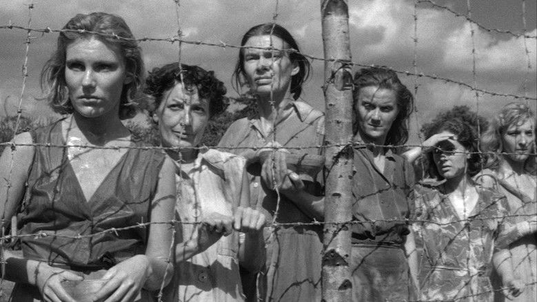 кадр из фильма The Camp on Blood Island