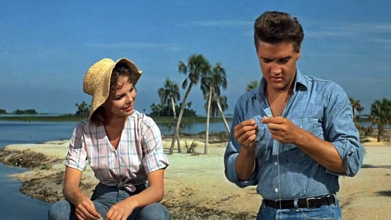 кадр из фильма Следуй за мечтой