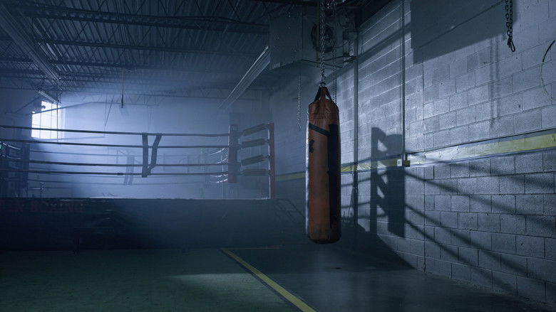 кадр из фильма My Fighter