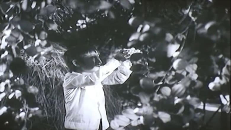 кадр из фильма Khi vắng bà