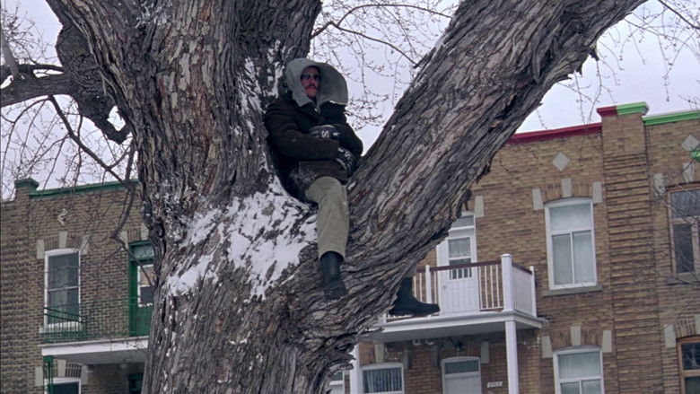 кадр из фильма Sur la trace d'Igor Rizzi