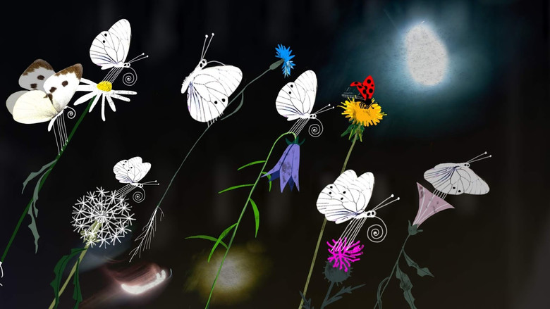 кадр из фильма Потерянный сад