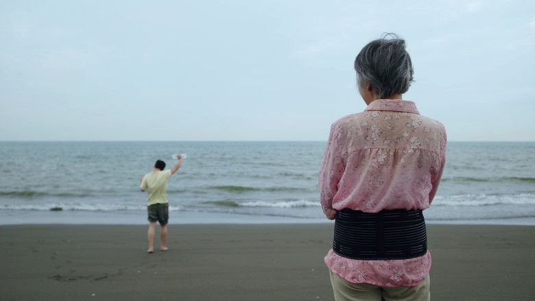 кадр из фильма 看海