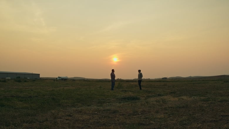 кадр из фильма The Summer Field