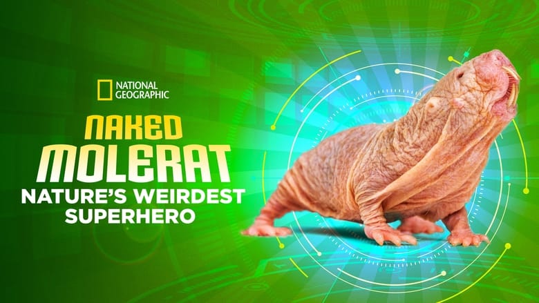 кадр из фильма Naked Molerat: Nature’s Weirdest Superhero