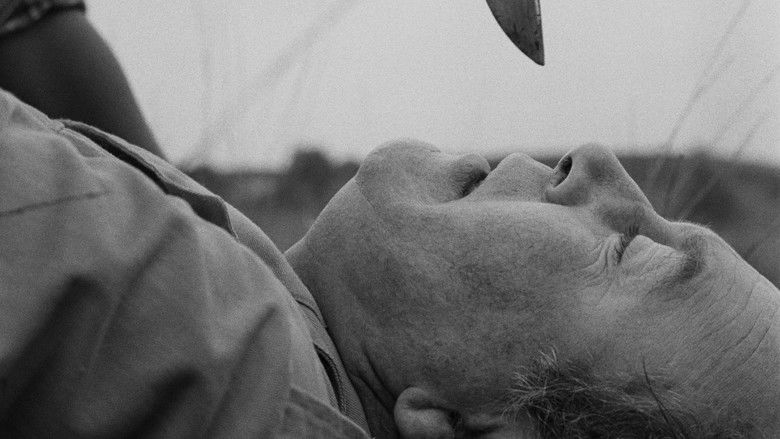 кадр из фильма Curse of the Voodoo