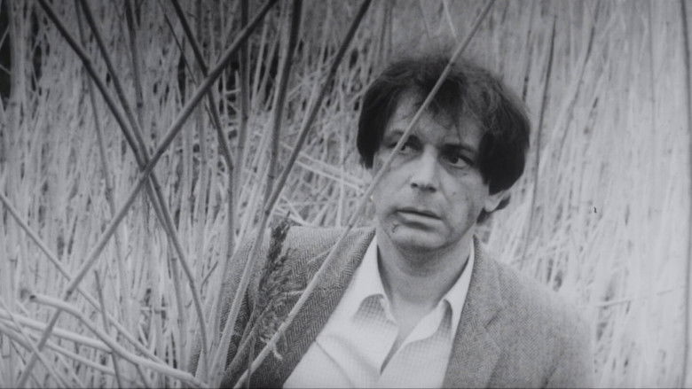 кадр из фильма Папа, умер дед Мороз