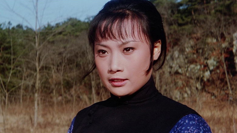 кадр из фильма 鐵掌旋風腿