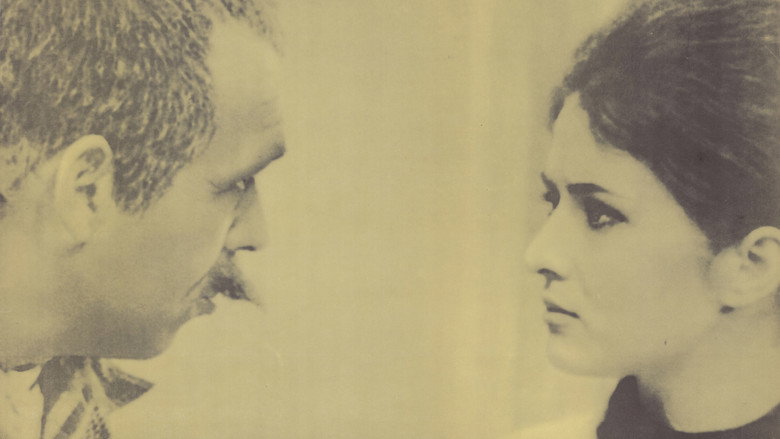 кадр из фильма Plagë të vjetra