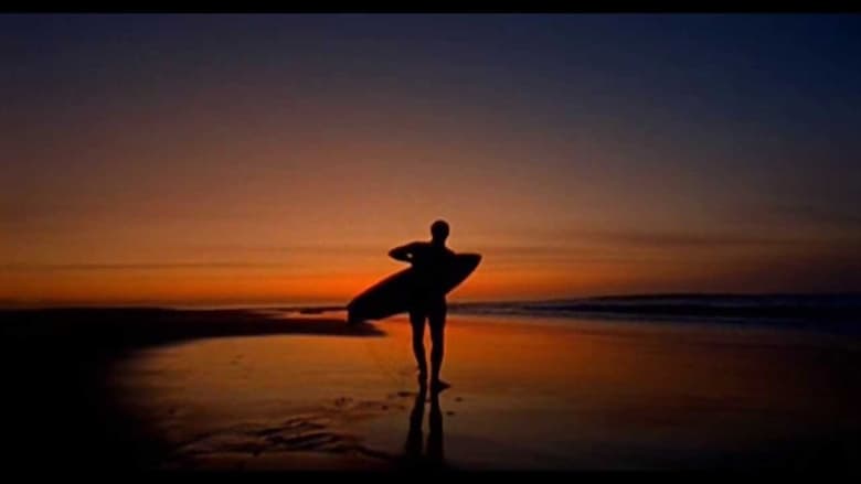 кадр из фильма Surf Adventures: O Filme
