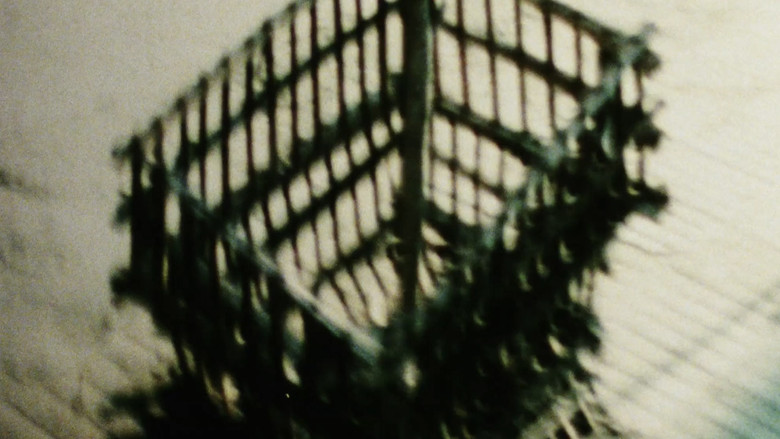 кадр из фильма Chimera