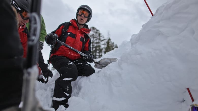 кадр из фильма Snow Guardians