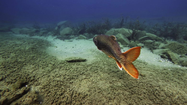 кадр из фильма All Too Clear