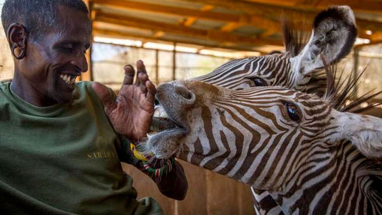 кадр из фильма My Africa