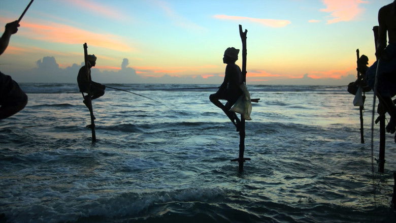 кадр из фильма Awaken