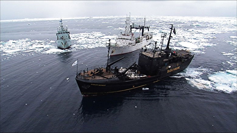 кадр из фильма At the Edge of the World