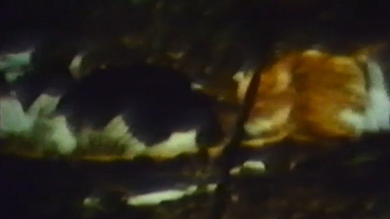 кадр из фильма CAT