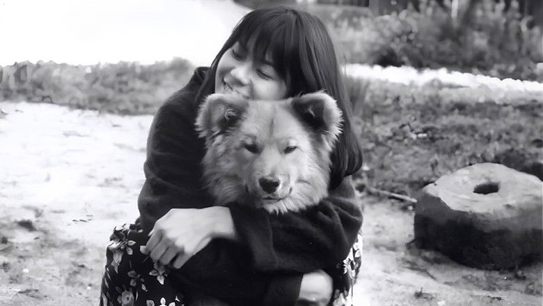 кадр из фильма 生まれた場所