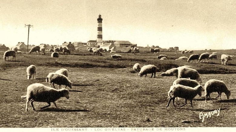 кадр из фильма Il y avait du pétrole à Ouessant