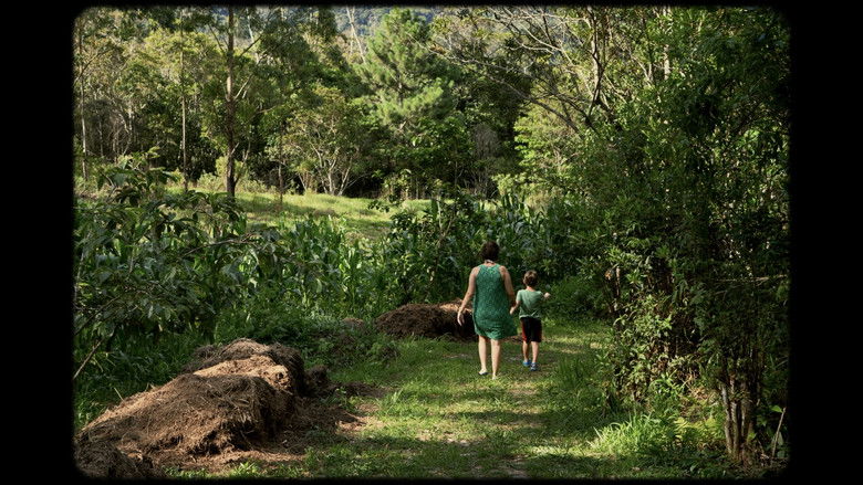 кадр из фильма Onírico