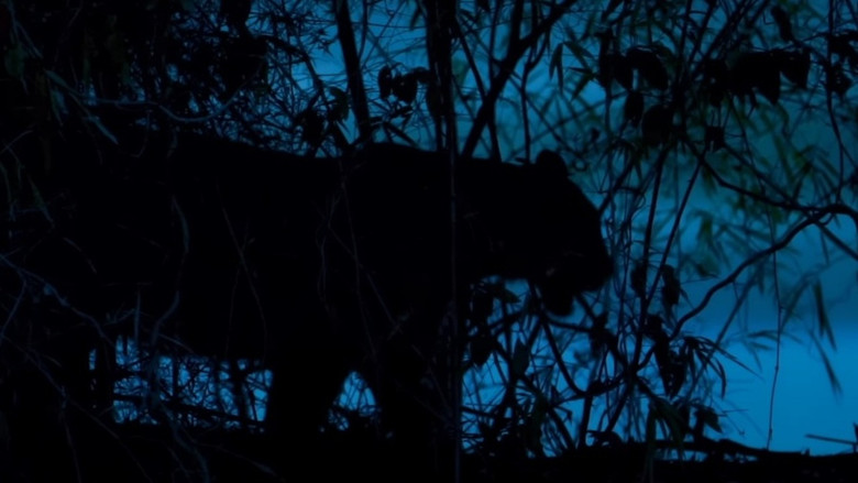 кадр из фильма टेरिटरी