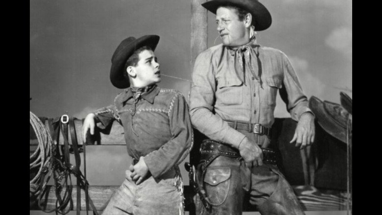 кадр из фильма Cattle Drive