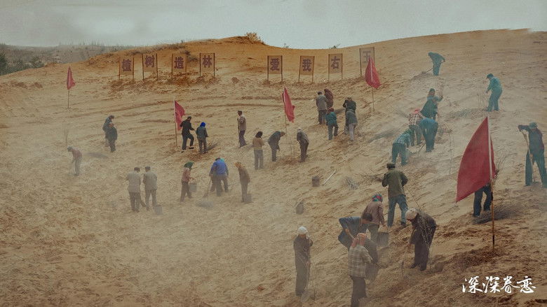 кадр из фильма 深深眷恋