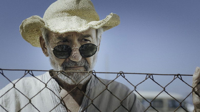 кадр из фильма Форментера Леди