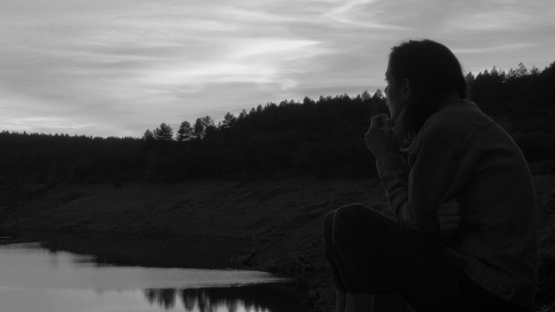 кадр из фильма 365 - Tres Seis Cinco