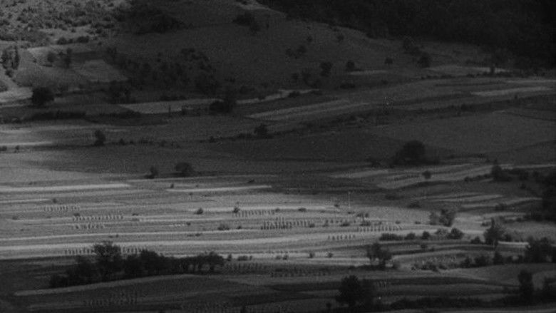 кадр из фильма Zem spieva