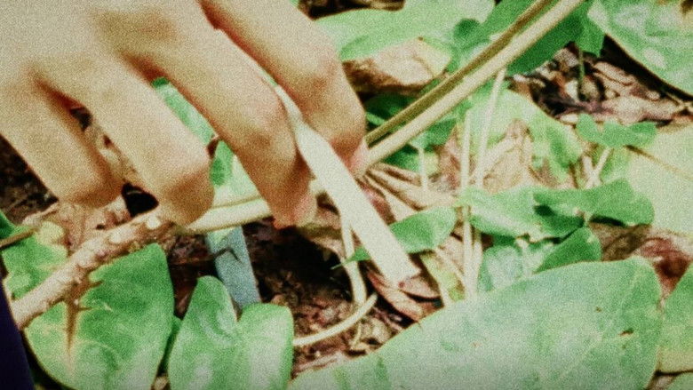 кадр из фильма Buddha Was A Hippie