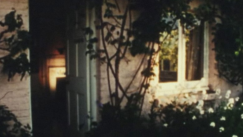 кадр из фильма Virginia Woolf: A Night's Darkness, A Day's Sail