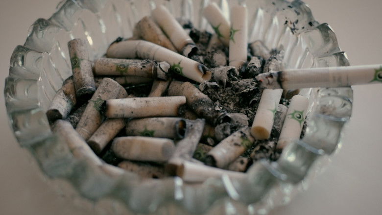 кадр из фильма Una mujer de ficción