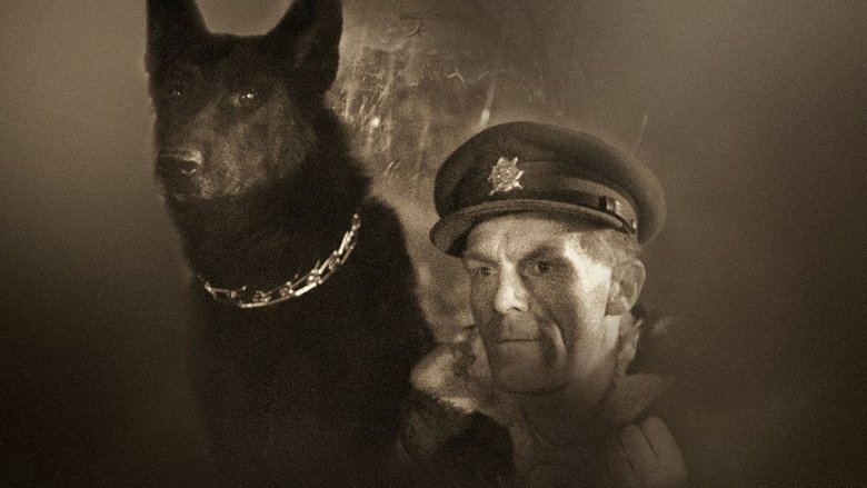 кадр из фильма Король Шумавы