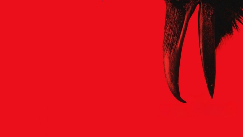 кадр из фильма Белдхэм. Проклятие ведьмы