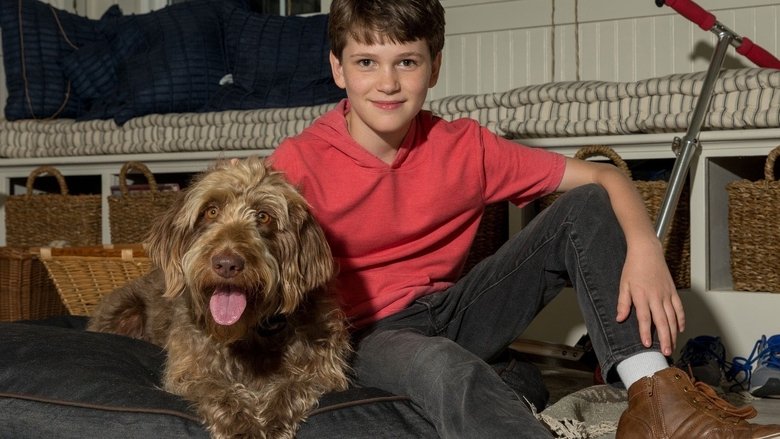 кадр из фильма Думай как собака