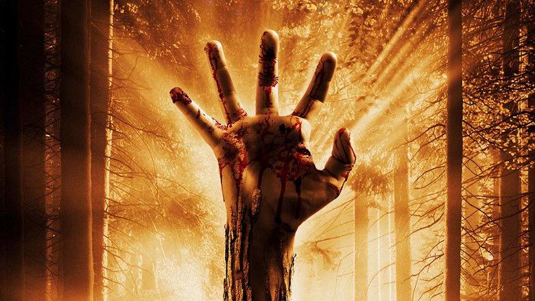 кадр из фильма Пробуждающий лес