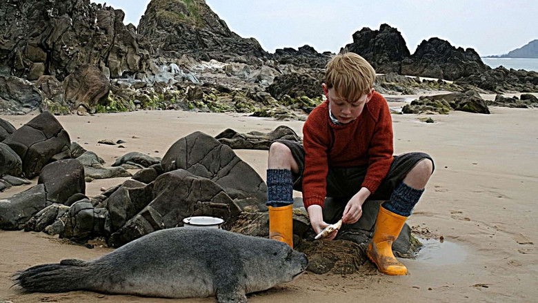 кадр из фильма Сияние радуги