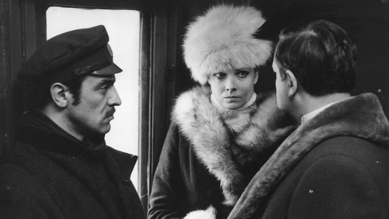 кадр из фильма Стреляй вместо меня