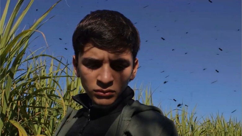 кадр из фильма Bagazo