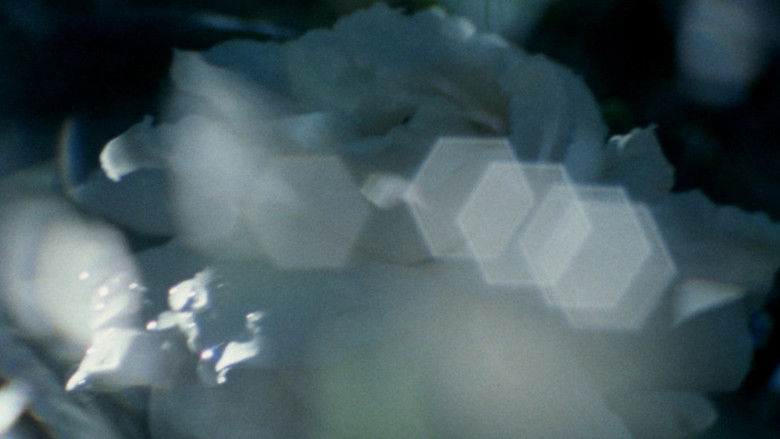 кадр из фильма Radiant Forms