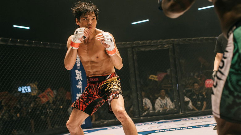 кадр из фильма 我的拳王男友